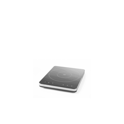 plita inductie profesionala cu display digital si carcasa inox